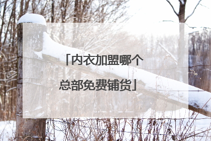 内衣加盟哪个总部免费铺货