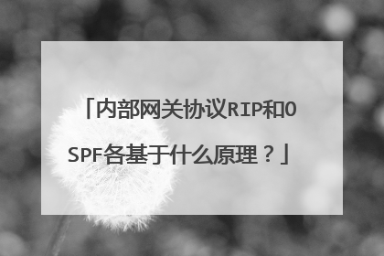 内部网关协议RIP和OSPF各基于什么原理?