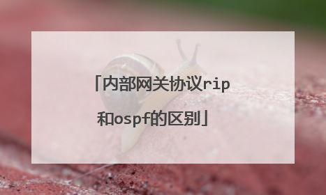 内部网关协议rip和ospf的区别