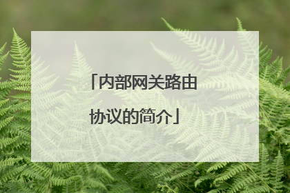 内部网关路由协议的简介
