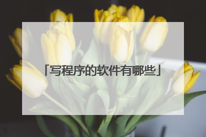 写程序的软件有哪些