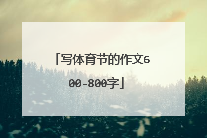 写体育节的作文600-800字