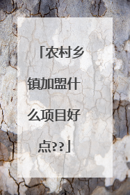 农村乡镇加盟什么项目好点??