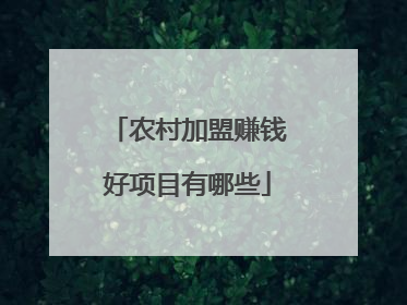 农村加盟赚钱好项目有哪些