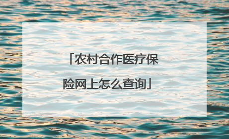 农村合作医疗保险网上怎么查询
