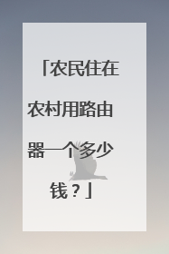农民住在农村用路由器一个多少钱？