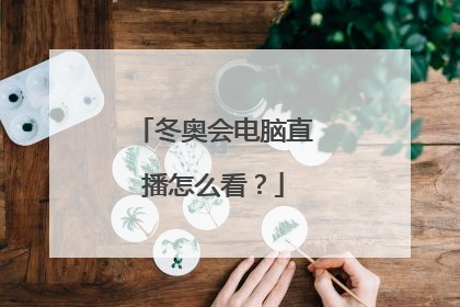 冬奥会电脑直播怎么看？
