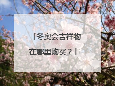 冬奥会吉祥物在哪里购买？