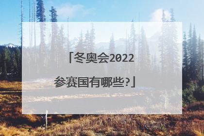 冬奥会2022参赛国有哪些?