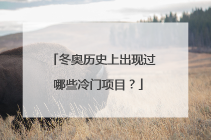 冬奥历史上出现过哪些冷门项目？
