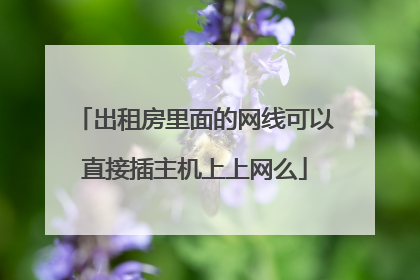 出租房里面的网线可以直接插主机上上网么