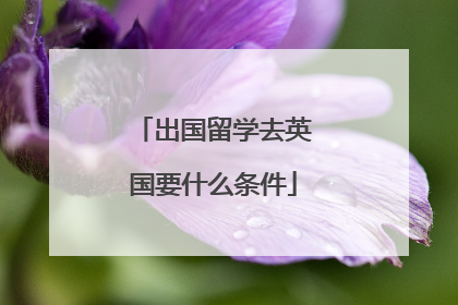 出国留学去英国要什么条件