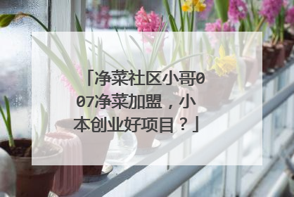 净菜社区小哥007净菜加盟,小本创业好项目?