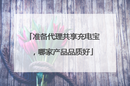 准备代理共享充电宝,哪家产品品质好