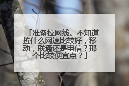 准备拉网线。不知道拉什么网速比较好，移动，联通还是电信？那个比较便宜点？