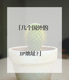 几个国外的IP地址?