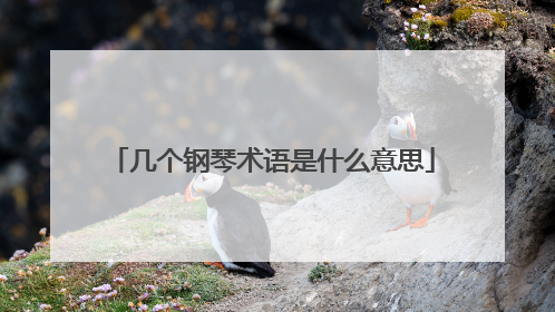 几个钢琴术语是什么意思