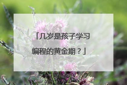 几岁是孩子学习编程的黄金期?