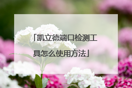 凯立德端口检测工具怎么使用方法