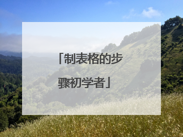 制表格的步骤初学者