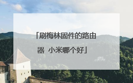 刷梅林固件的路由器 小米哪个好
