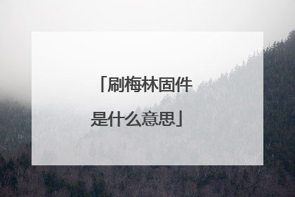 刷梅林固件是什么意思