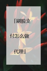 刷脸支付怎么做代理