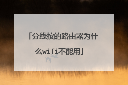 分线按的路由器为什么wifi不能用