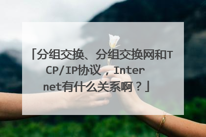 分组交换、分组交换网和TCP/IP协议,Internet有什么关系啊?