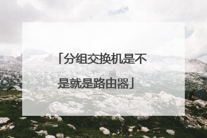 分组交换机是不是就是路由器