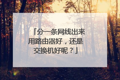 分一条网线出来用路由器好,还是交换机好呢?