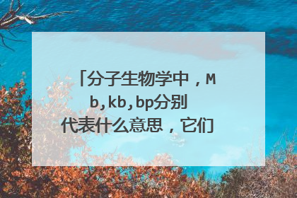 分子生物学中,Mb,kb,bp分别代表什么意思,它们之间怎么换算?