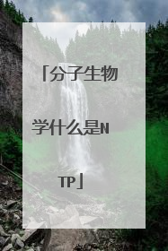 分子生物学什么是NTP