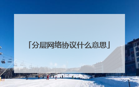 分层网络协议什么意思