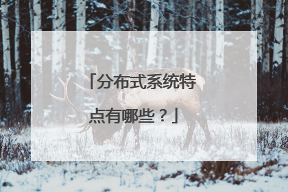 分布式系统特点有哪些？