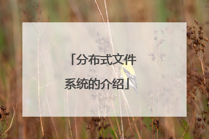 分布式文件系统的介绍