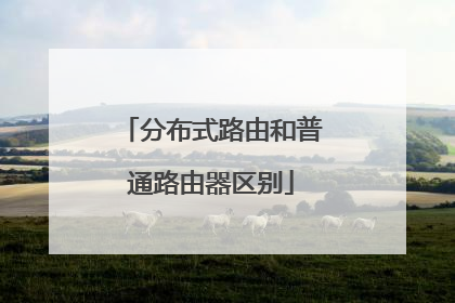 分布式路由和普通路由器区别