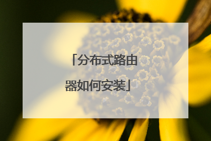 分布式路由器如何安装
