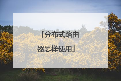 分布式路由器怎样使用