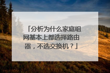 分析为什么家庭组网基本上都选择路由器，不选交换机？