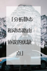 分析静态和动态路由协议的优缺点