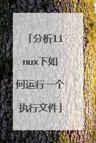 分析linux下如何运行一个执行文件