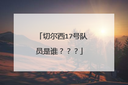 切尔西17号队员是谁???