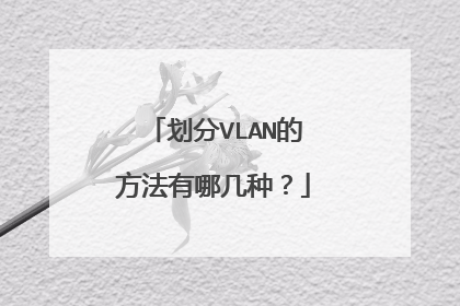 划分VLAN的方法有哪几种？