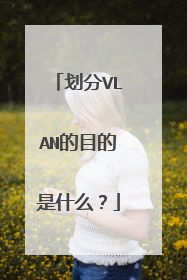 划分VLAN的目的是什么?