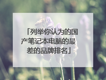 列举你认为的国产笔记本电脑的最差的品牌排名