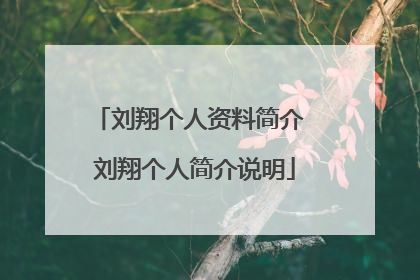 刘翔个人资料简介 刘翔个人简介说明