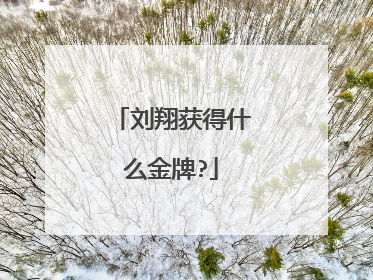 刘翔获得什么金牌?