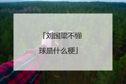 刘国梁不懂球是什么梗