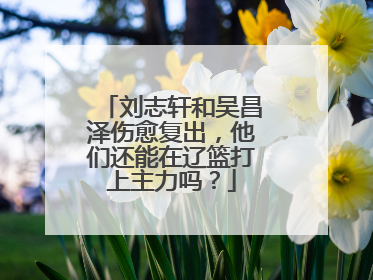 刘志轩和吴昌泽伤愈复出，他们还能在辽篮打上主力吗？